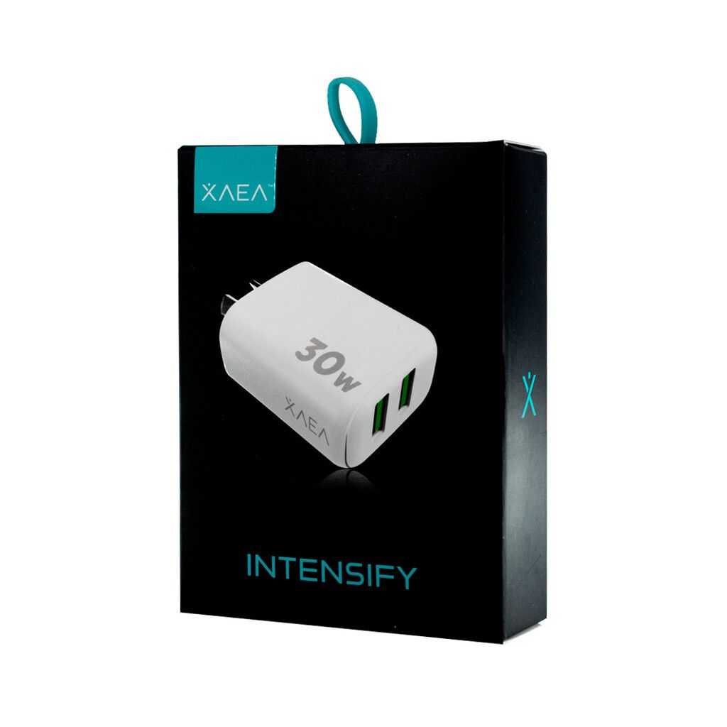    CARGADOR 30W 2 USB CON CABLE TC INTESIFY XAEA